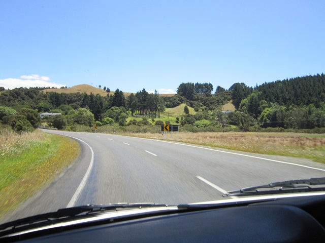 Nieuw Zeeland, weg naar Waipoa Forest